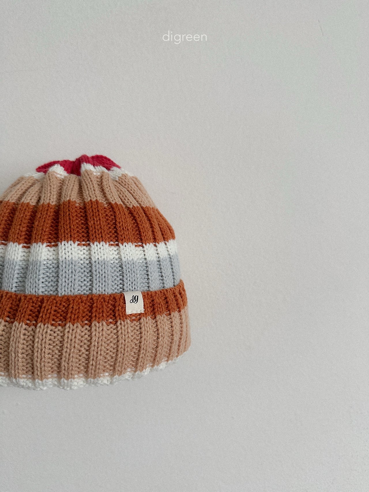 Digreen | multi beanie 