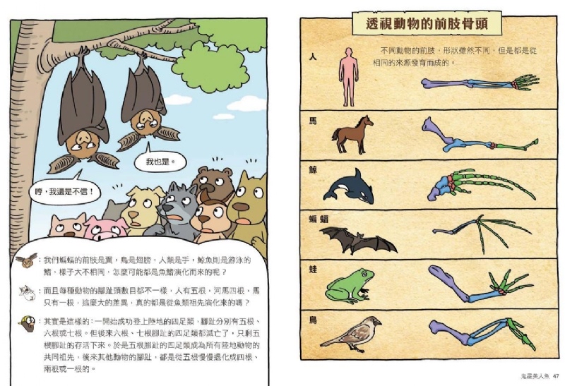 親子天下 達克比辦案10：鬼屋美人魚：人類構造的演化與返祖現象