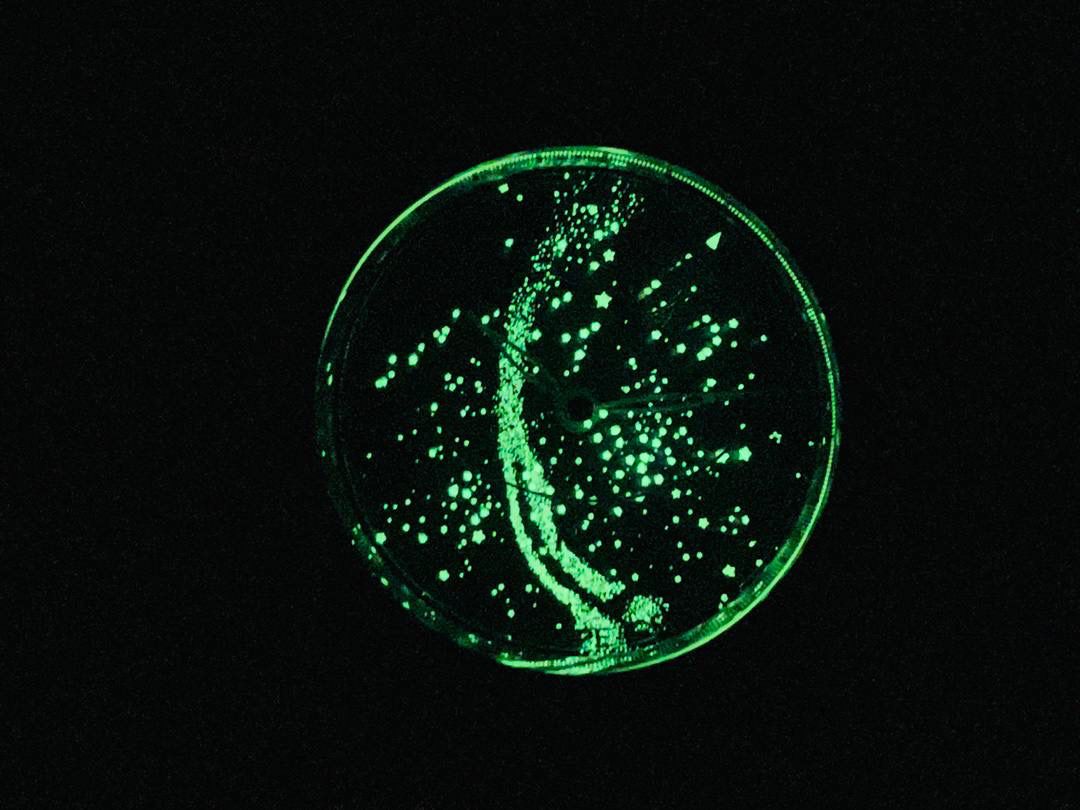 V4升级版 市场最高版本 功能跟正品一样 百达.翡丽星空升级终极版！升级细节： 1⃣️做到了跟正品满天星自动转的功能！ 2⃣️升级日历的排法和正品一样的顺序！ 3⃣️直径42毫米，厚度11毫米！ 4⃣️最大亮点：百达.翡丽星空里的月亮会根据天空上的月亮变化而变化！根据天空上的月圆月缺搬（初一月弯弯初十五月圆）到手表上了！