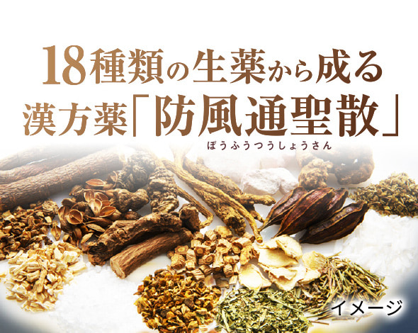 日本小林製藥 漢方防風通聖散 分解減脂排油 Za升級強效版 105錠(7日分) / 420錠(28日分)