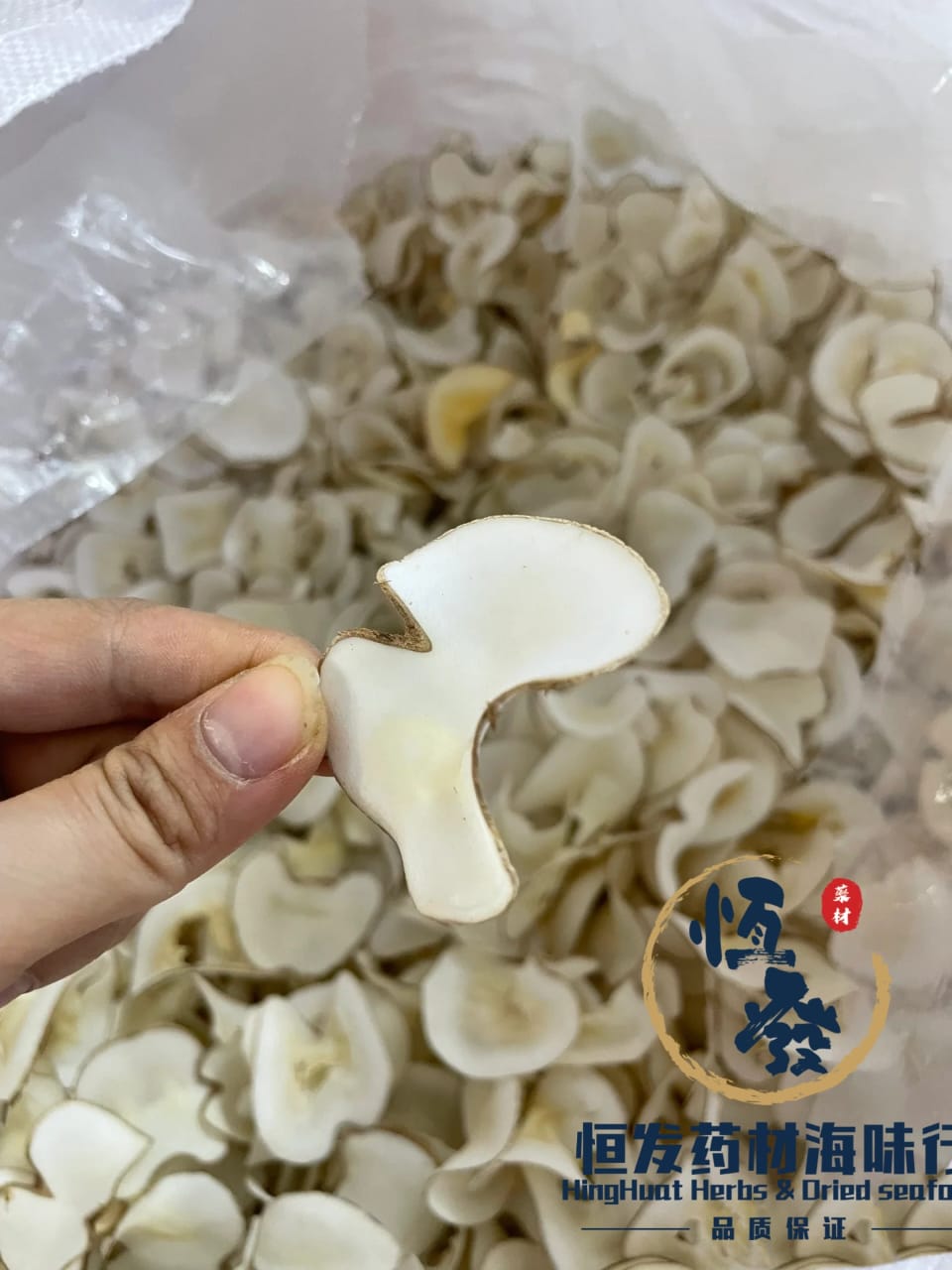 恒发║海底椰片 Sea Coconut Slice