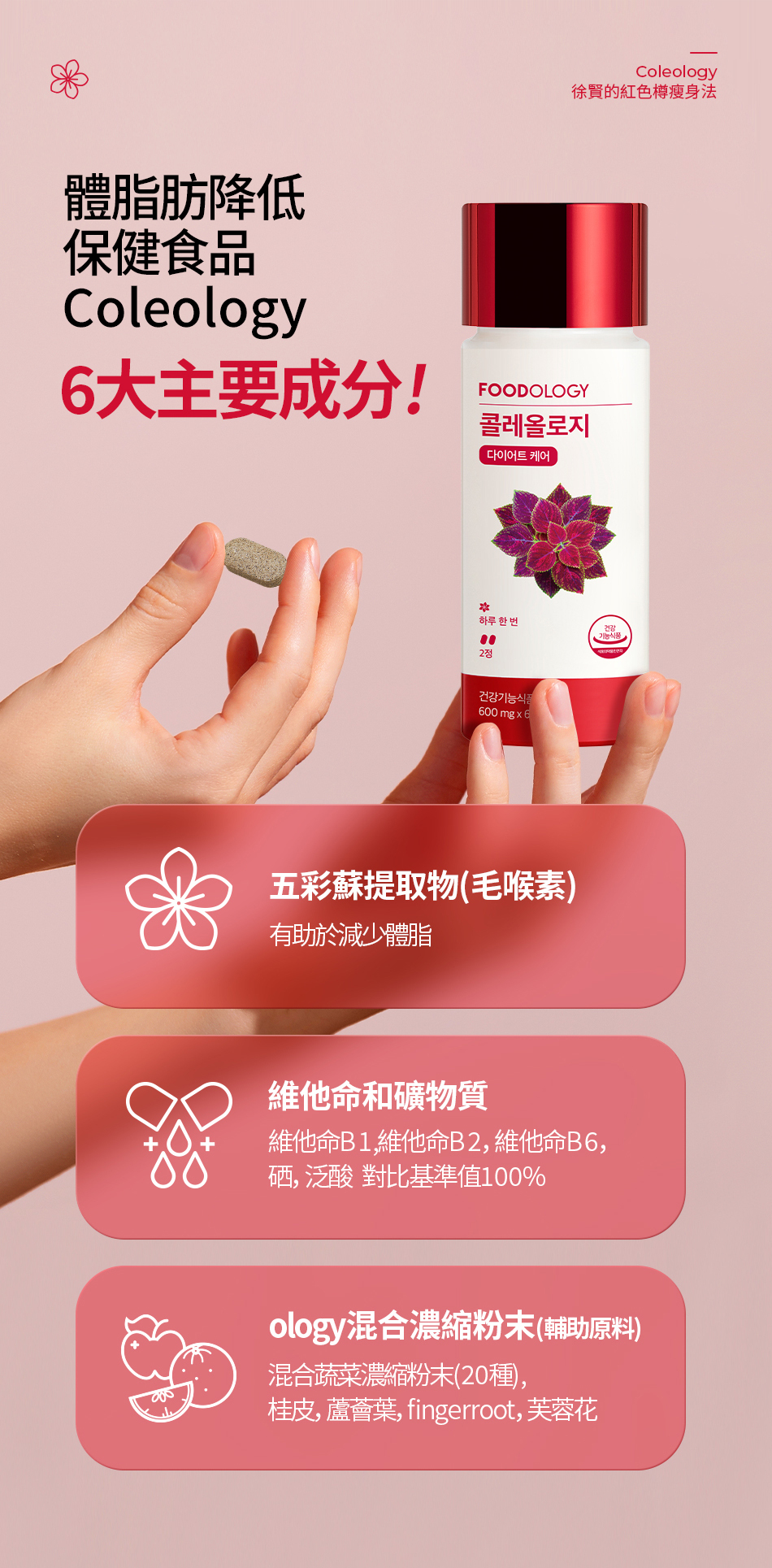 韓國 FOODOLOGY徐玄代言燃脂能量錠(60粒裝）