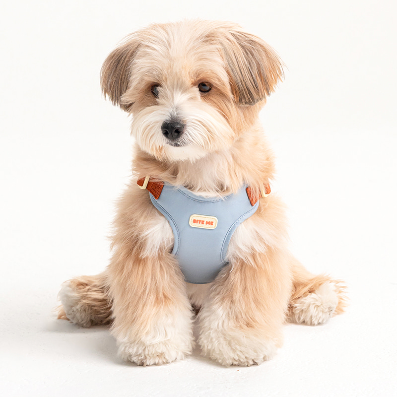 *預購 BiteMe🇰🇷 Comfort Harness v2