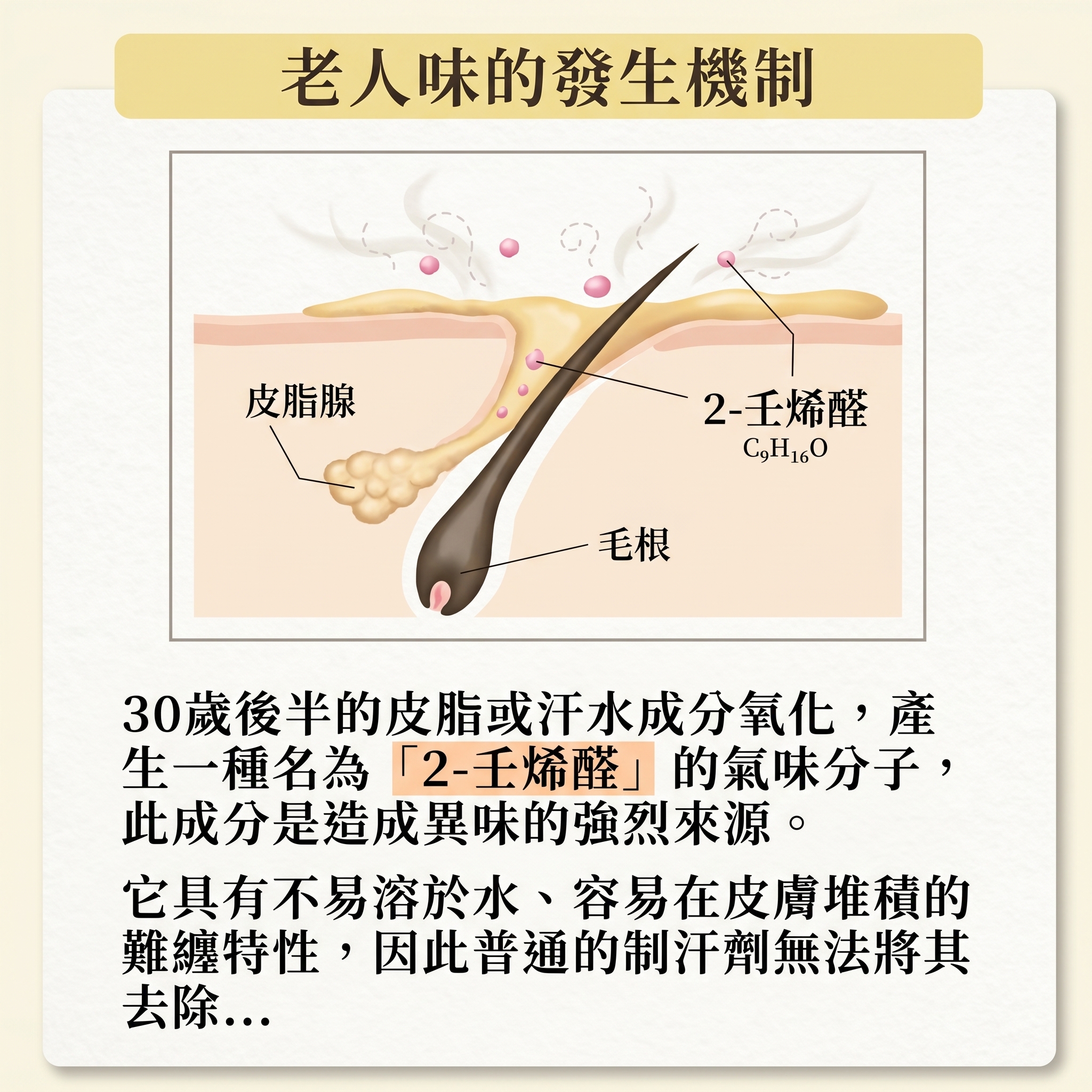 Dr.Deodorant (DEO35PLUS+) 止汗噴霧 <日本製>