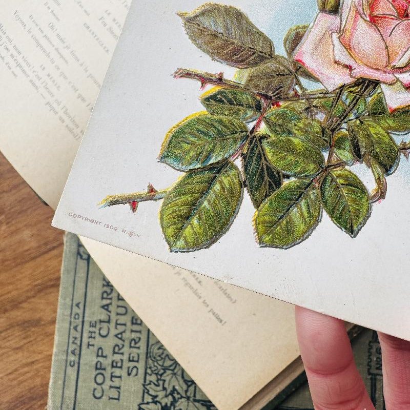 Antique 1909 Red and Pink Rose Postcard - Embossed with Golden Outline(MT2305-1)