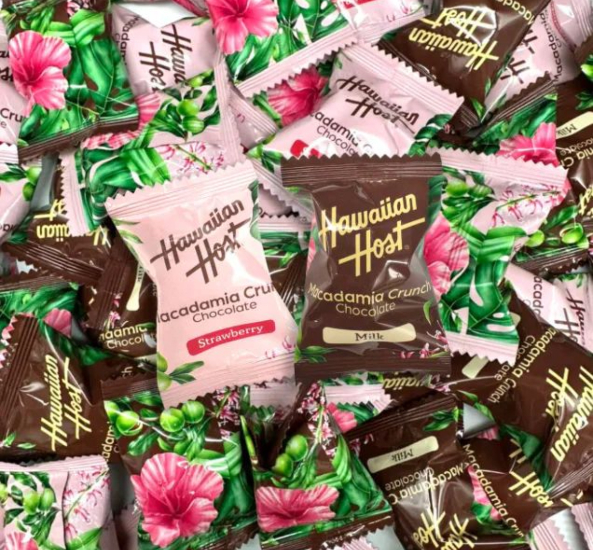 現貨現貨  日本直送 - Hawaiian Host Macadamia Chocolate & Strawberry 300g一包有50個