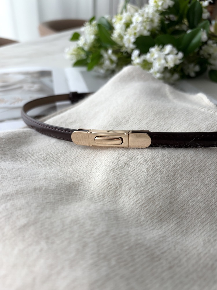 Charlyne Golden Belt (2 color)