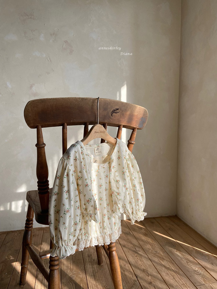 🇰🇷Anne shirley cardigan (不連背心）