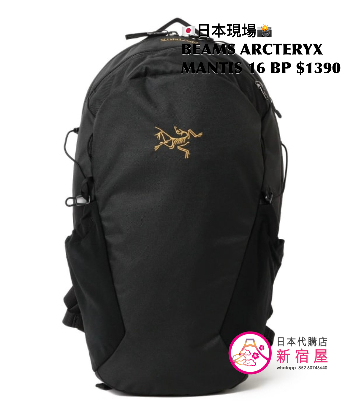 BEAMS ARCTERYX MANTIS 16 BACKPACK