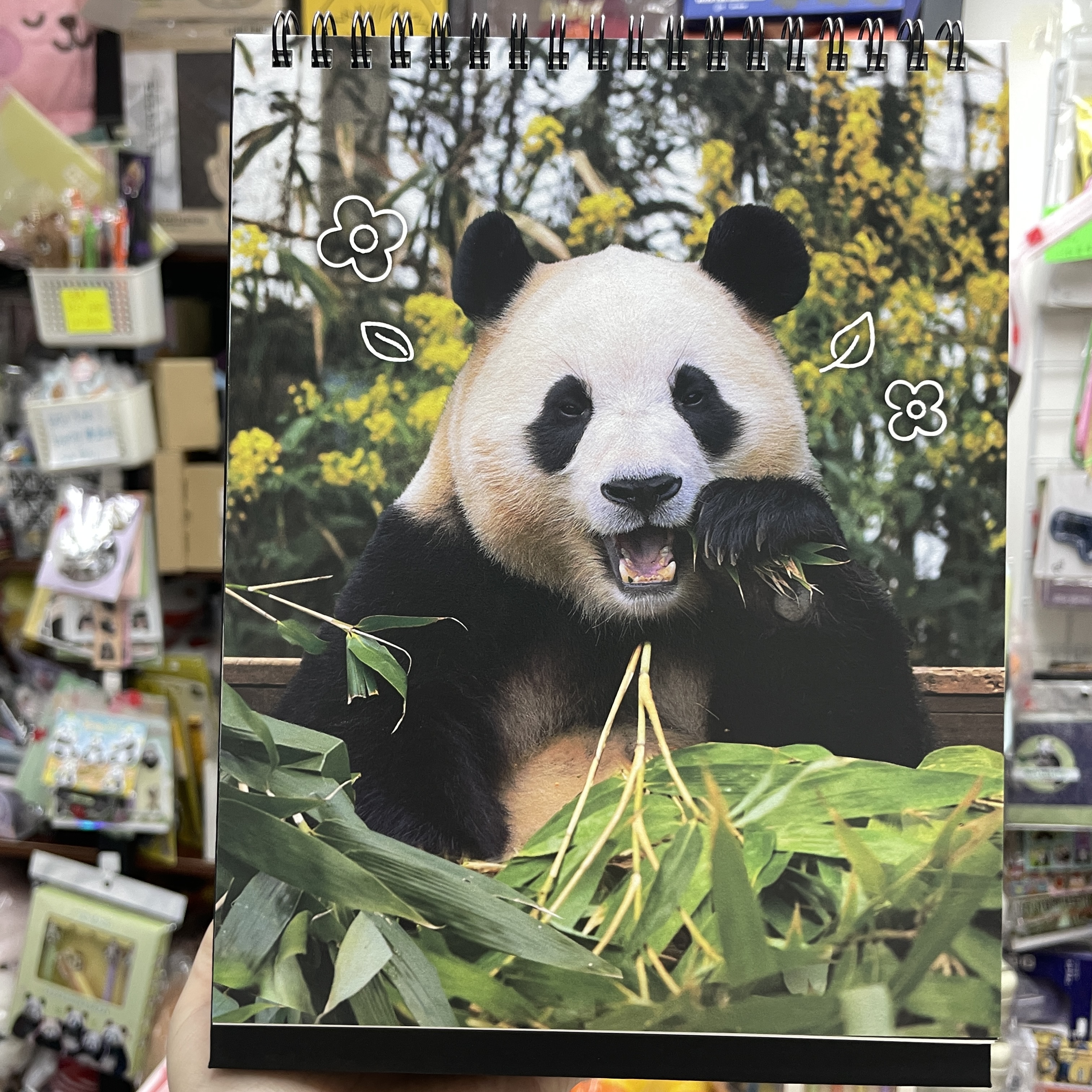 🈶現貨 韓國代購 愛寶樂園 Everland Bao Family 寶家族 2026年 座枱月曆