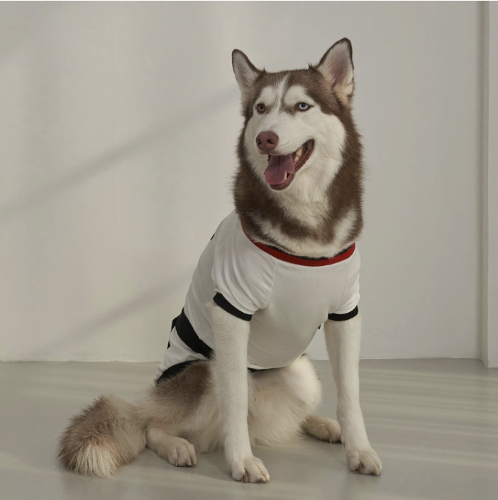 *SuperPet 🇰🇷 寵物跆拳道服（DG192）