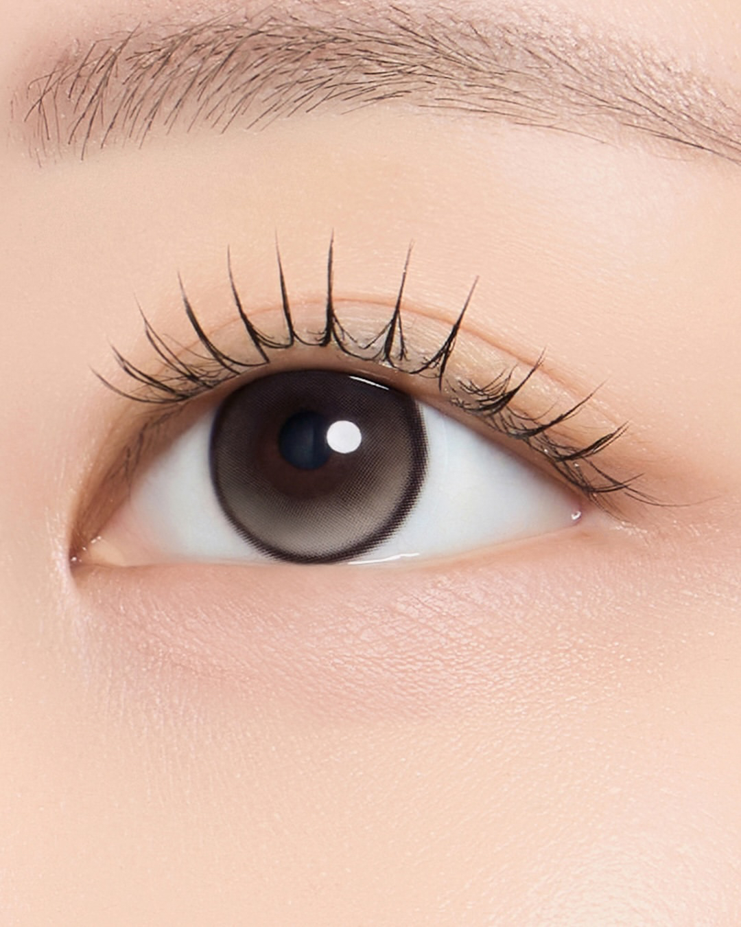 Hapa Kristin - Stay Pretty Kristin Sweet Beige (1day/10P)