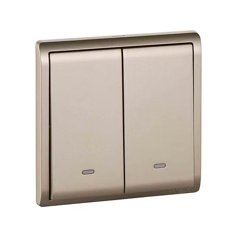施耐德 Pieno 沉醉金 2位雙控 開關掣