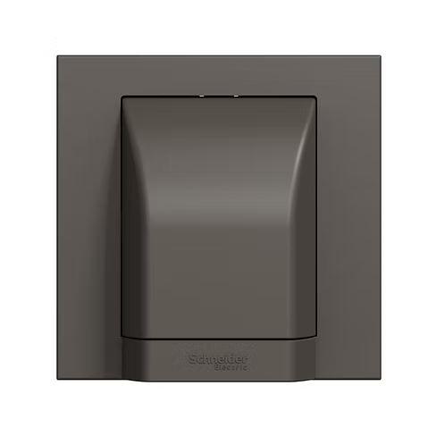 施耐德 奐然AvatarOn C 石墨灰 45A龜背 接線蘇