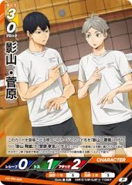 HV-PR-041 影山・菅原 P