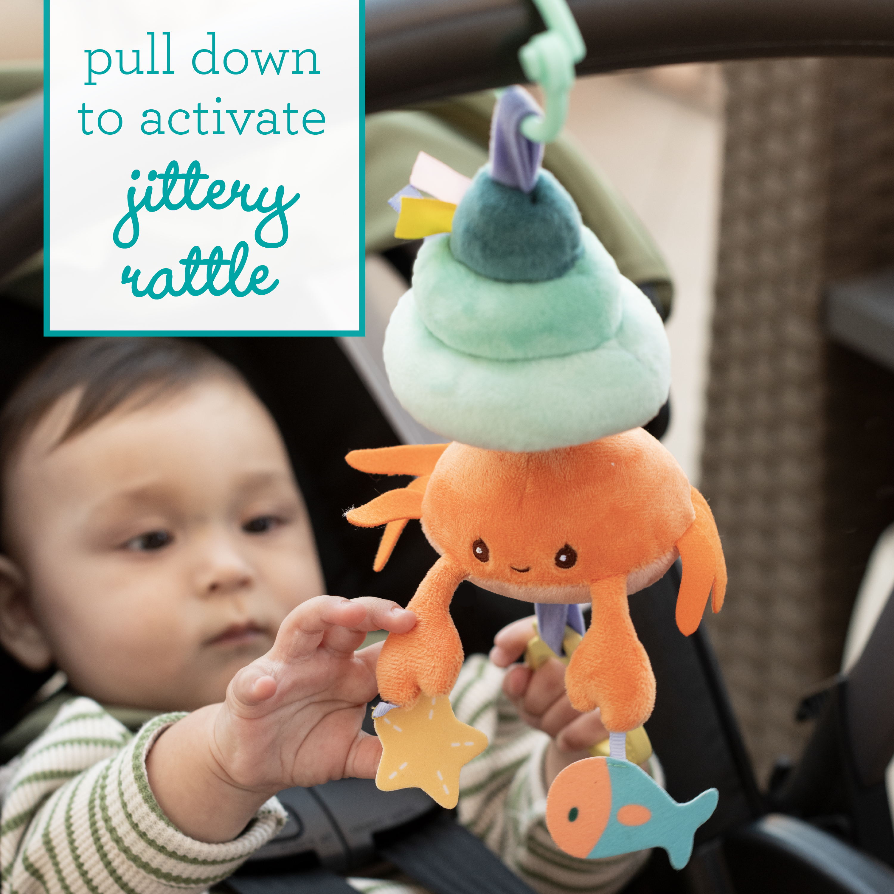 寄居蟹震動小夥伴　Pull & Shake Jittery Pal - Hermit Crab