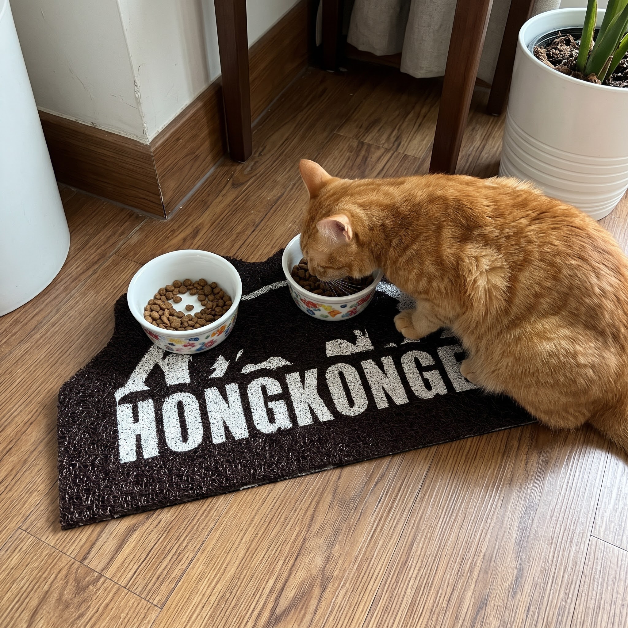 【 獅子山下開餐 🐾 港喵專屬防滑沙水墊 】 (40cm)