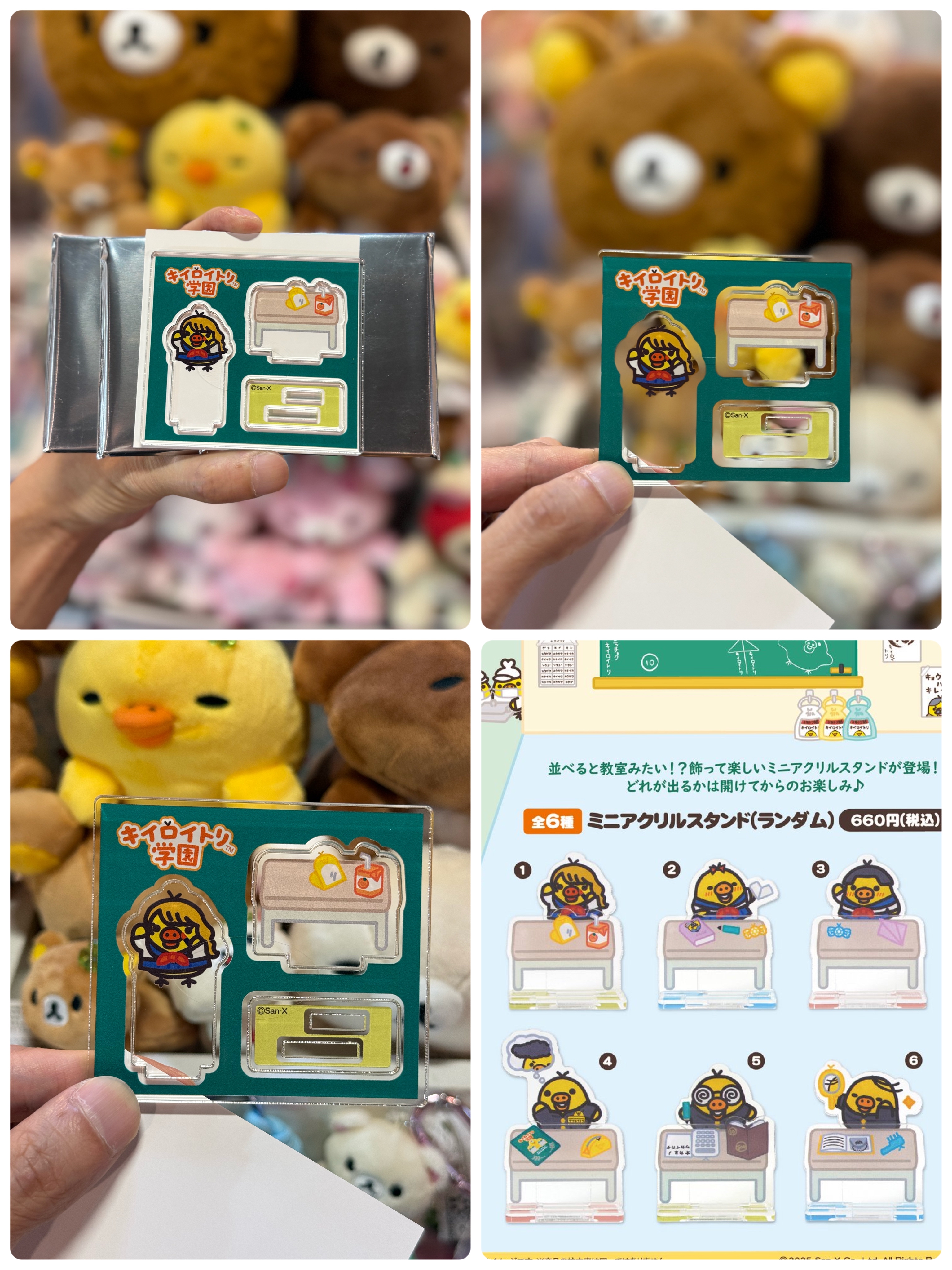 《現貨》小雞學園主題pop up店限定立牌（隨機抽）全6款