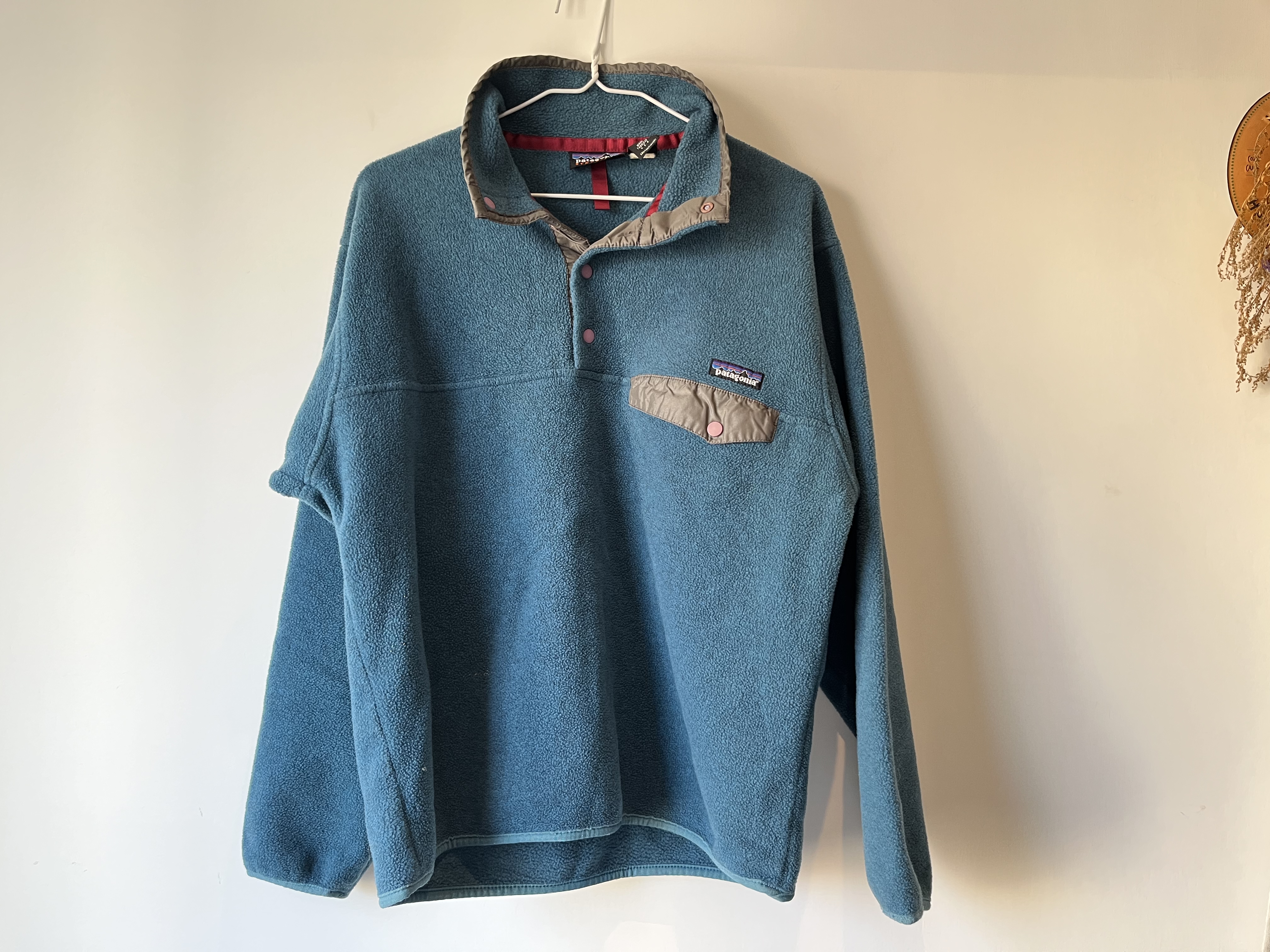 農相支援の新人当選 希少 Old patagonia 亀 Tシャツ made in USA