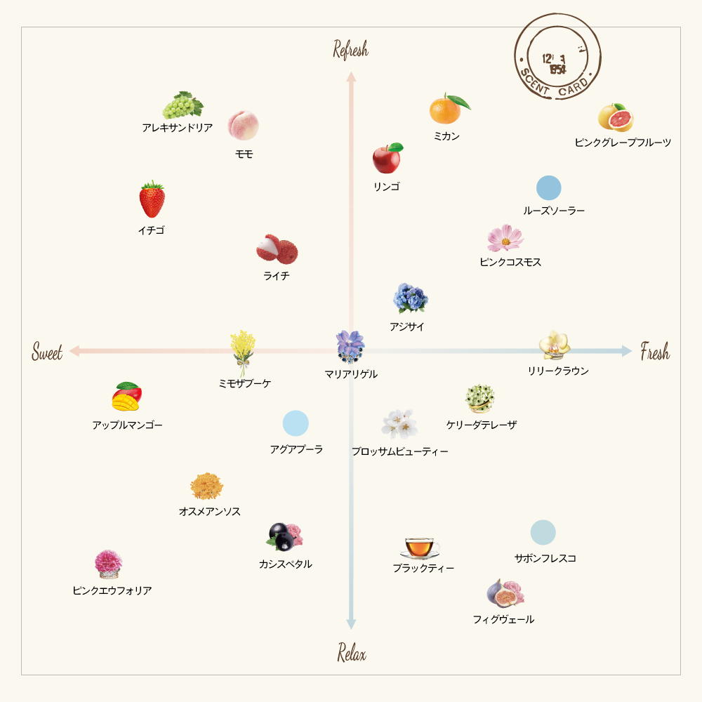  🎀  【預訂】FERNANDA Black tea Fragrance Premium Body Mist 95ml