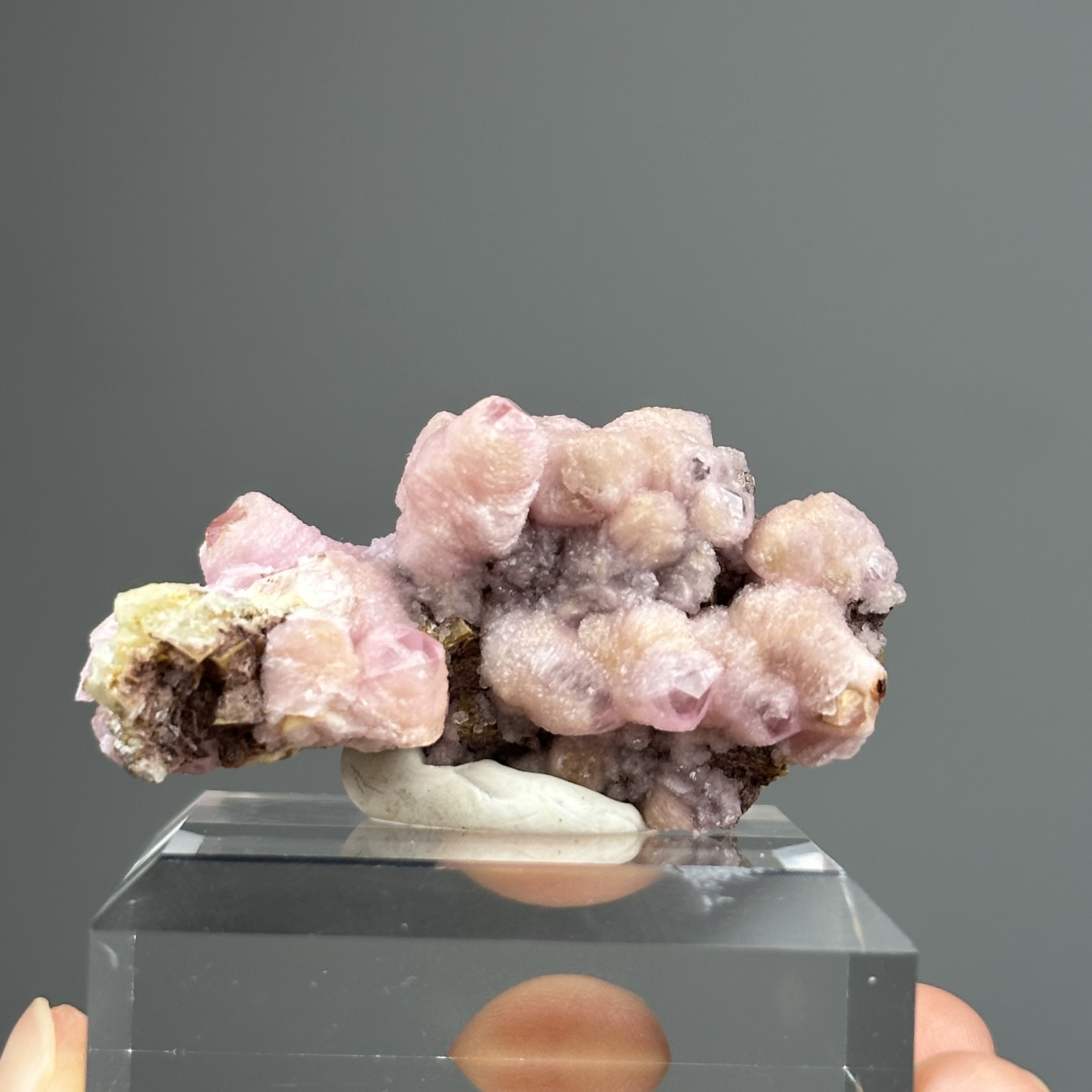 摩洛哥鈷方解石 - Cobaltoan Calcite