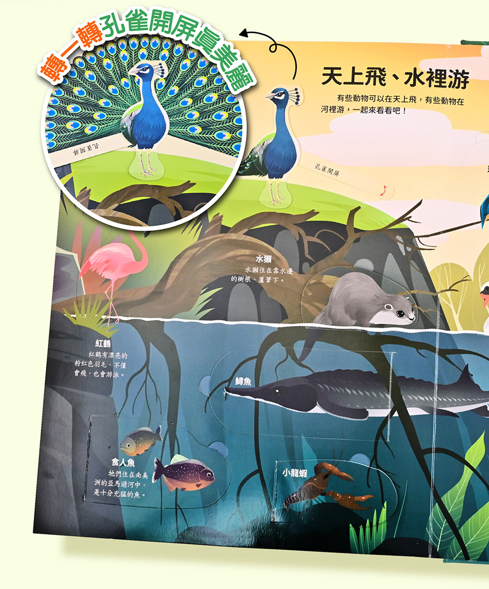 風車 神奇的動物百科立體翻翻書