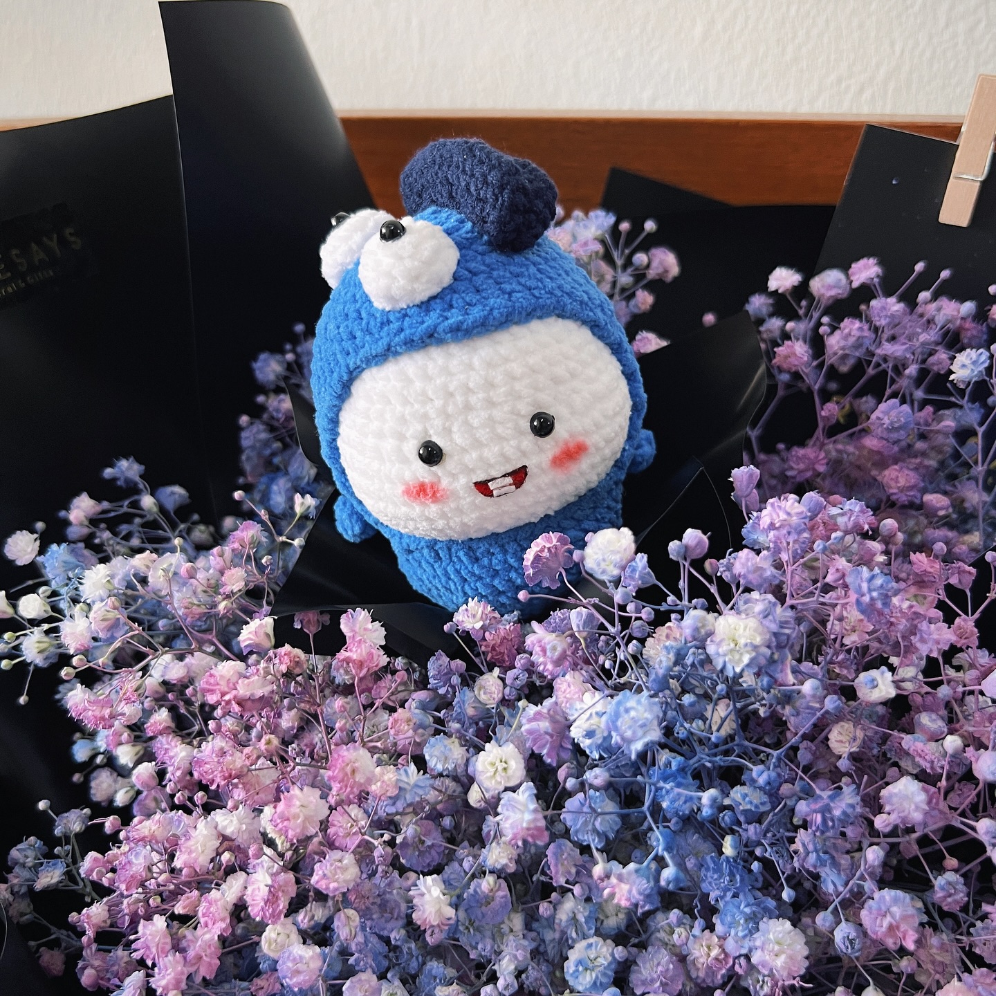 [Pre-order] Galaxy Baby’s Breath
