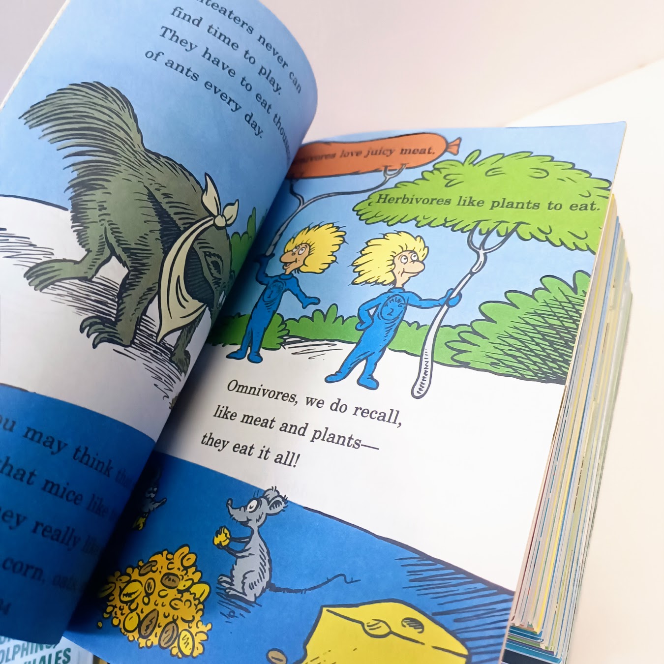 Dr seuss science The cat in the Hat's Learning Library  33 books collections |    33本 蘇斯博士科學繪本戴帽子的貓科普圖書館    B371