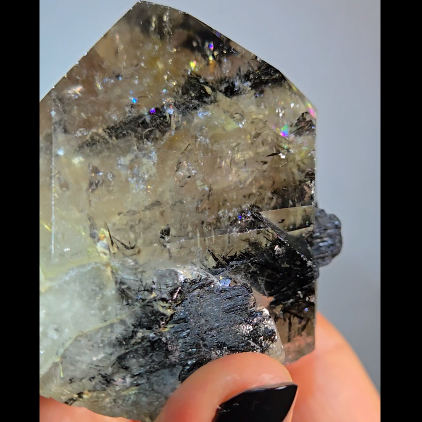 Black tourmaline inclusion smoky quartz with rainbows - RT1457