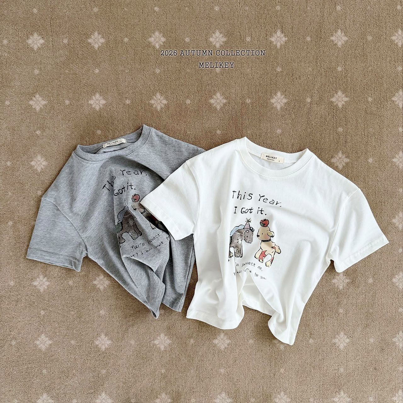 BR6026 Top