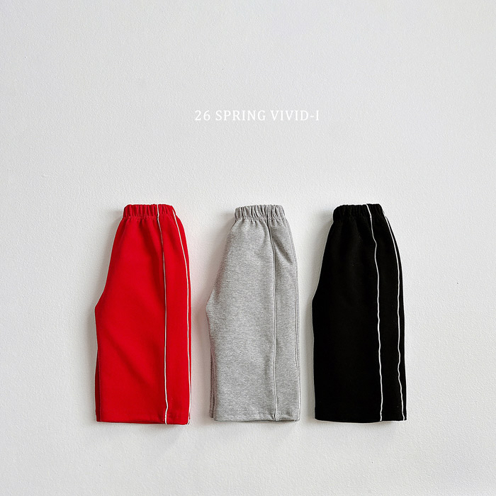 🇰🇷vivid_i pants