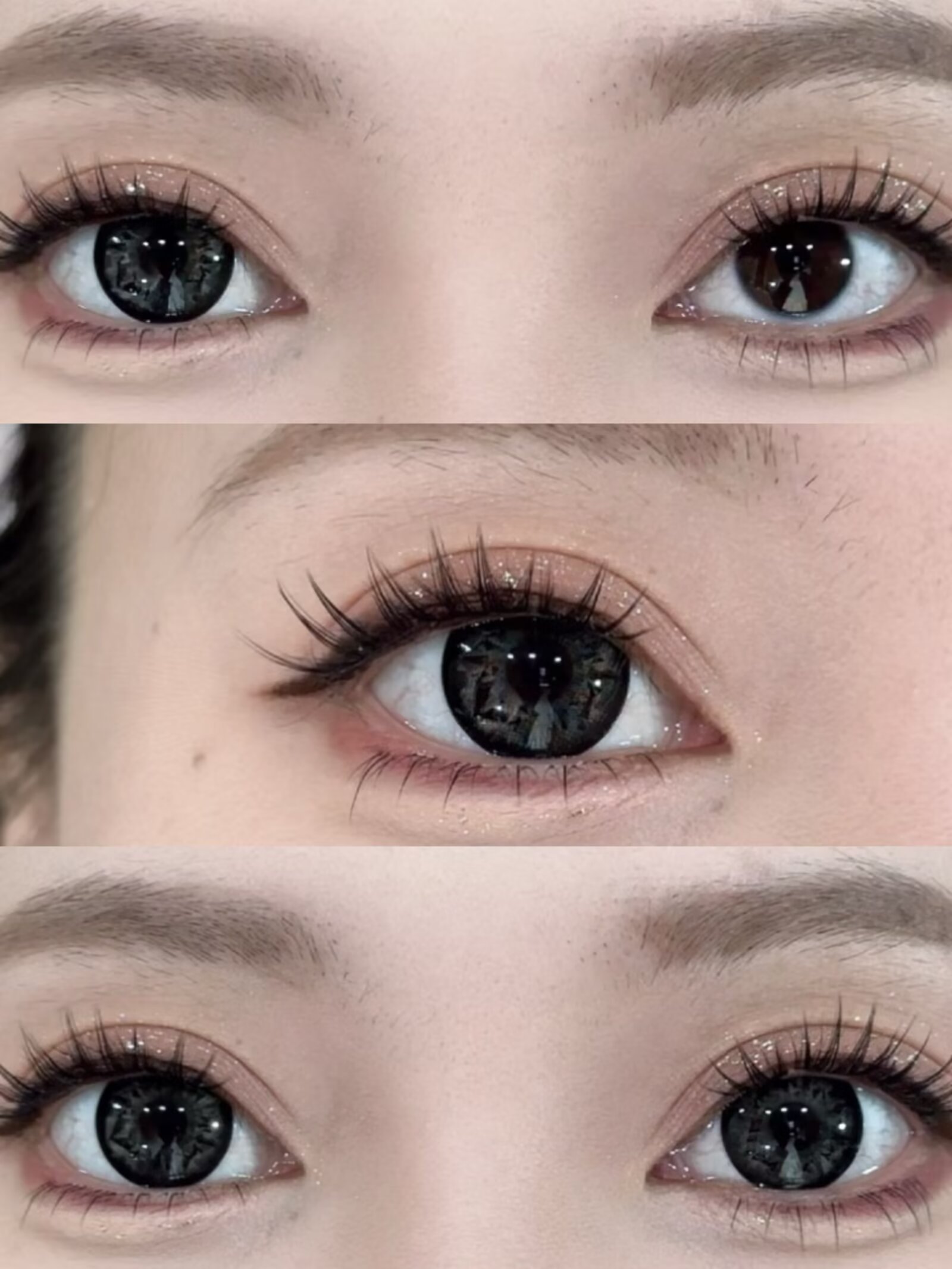 Hancon 日拋6片裝 伯爵黑鑽/鴿血紅鑽