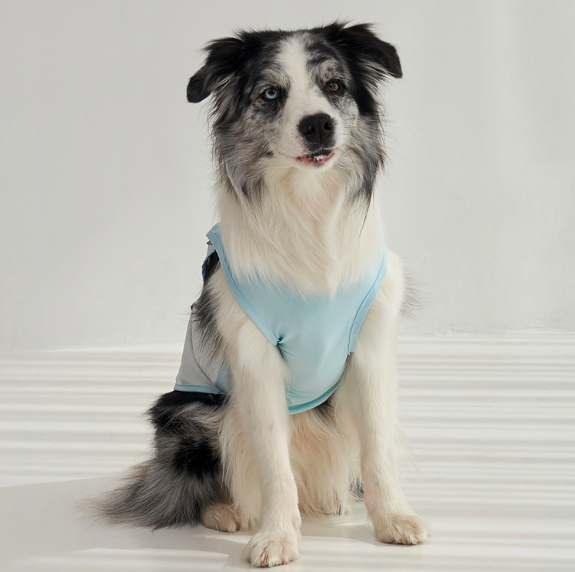 *SuperPet🇰🇷狗狗涼感機能背心