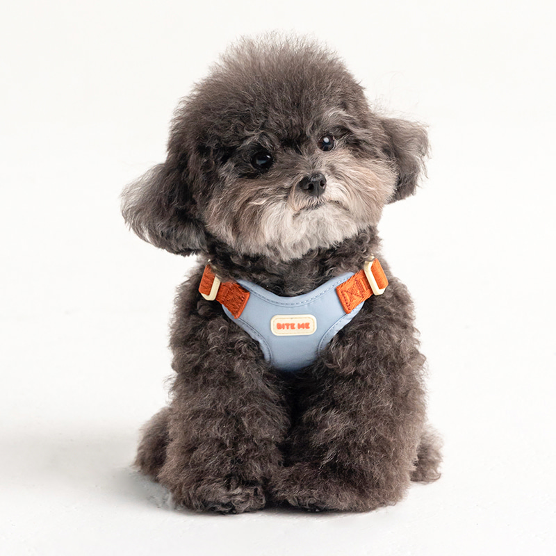 *預購 BiteMe🇰🇷 Comfort Harness v2