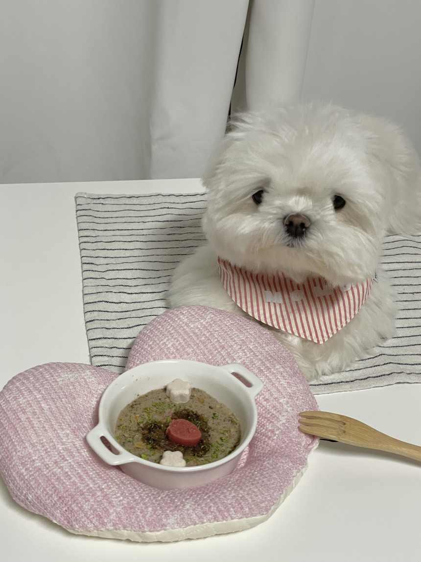 韓國🇰🇷 Poppy Bib [Summer ver.] Popper Piece