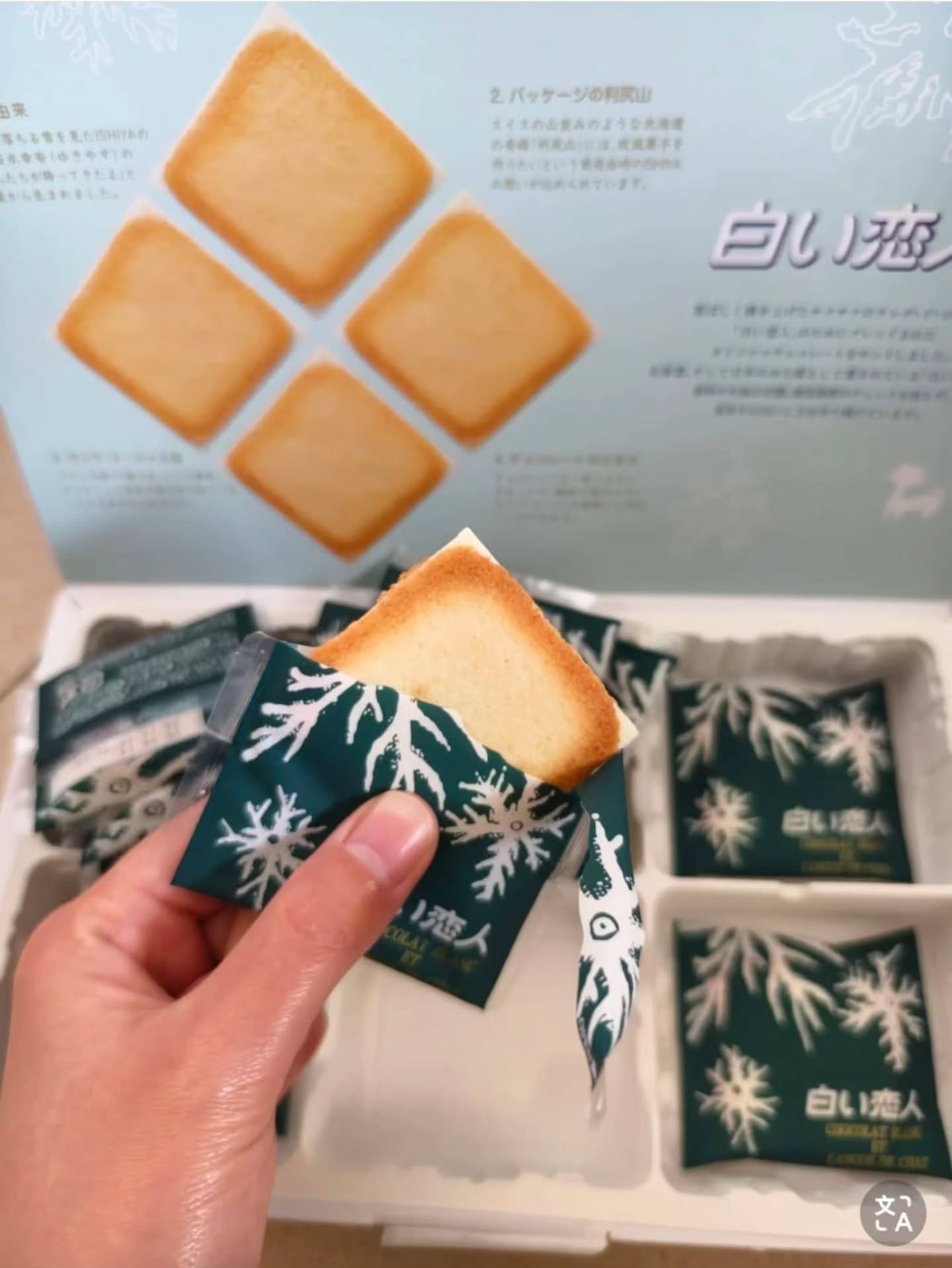 🇯🇵白色恋人伴手礼