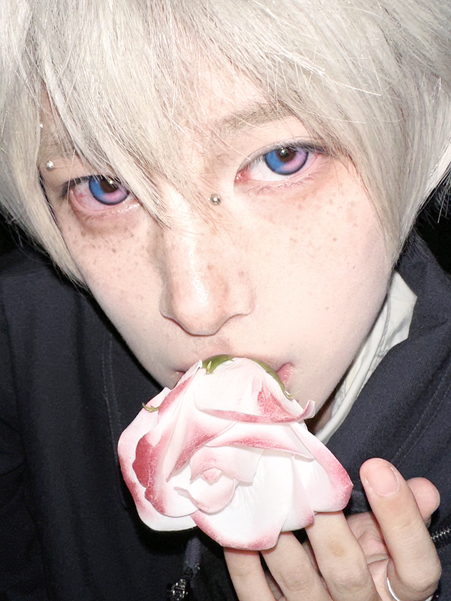 Dgugulens 日拋 時空戀曲系列