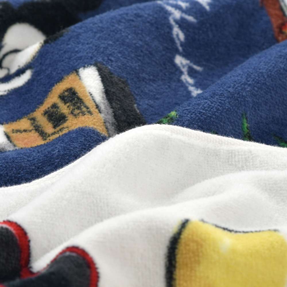 ✈️日本直送🇯🇵預訂🛍日本迪士尼DISNEY 夏季假日毛巾2件組（ Mickey / Chip and Dale ）