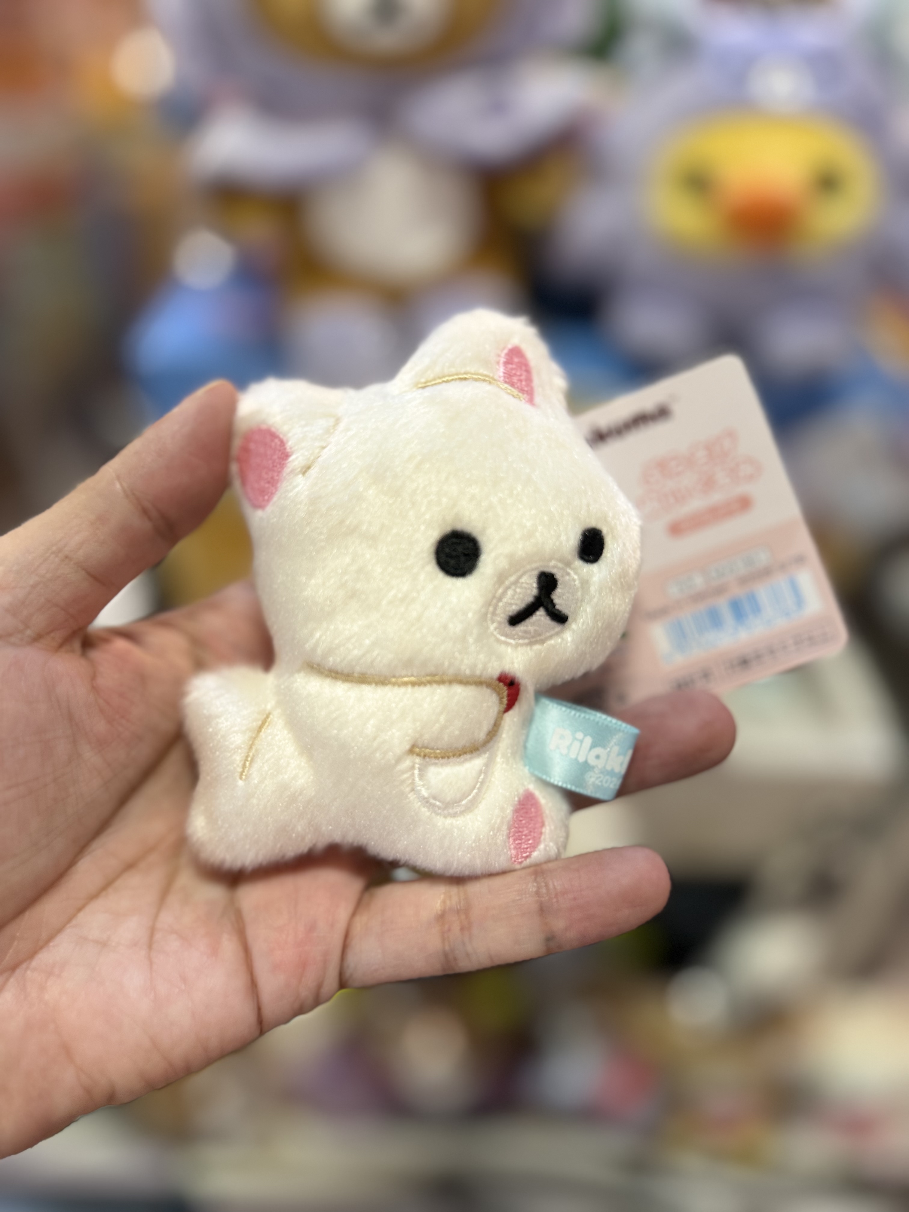 《現貨》全新Rilakkuma瓦瓦貓系列掛飾