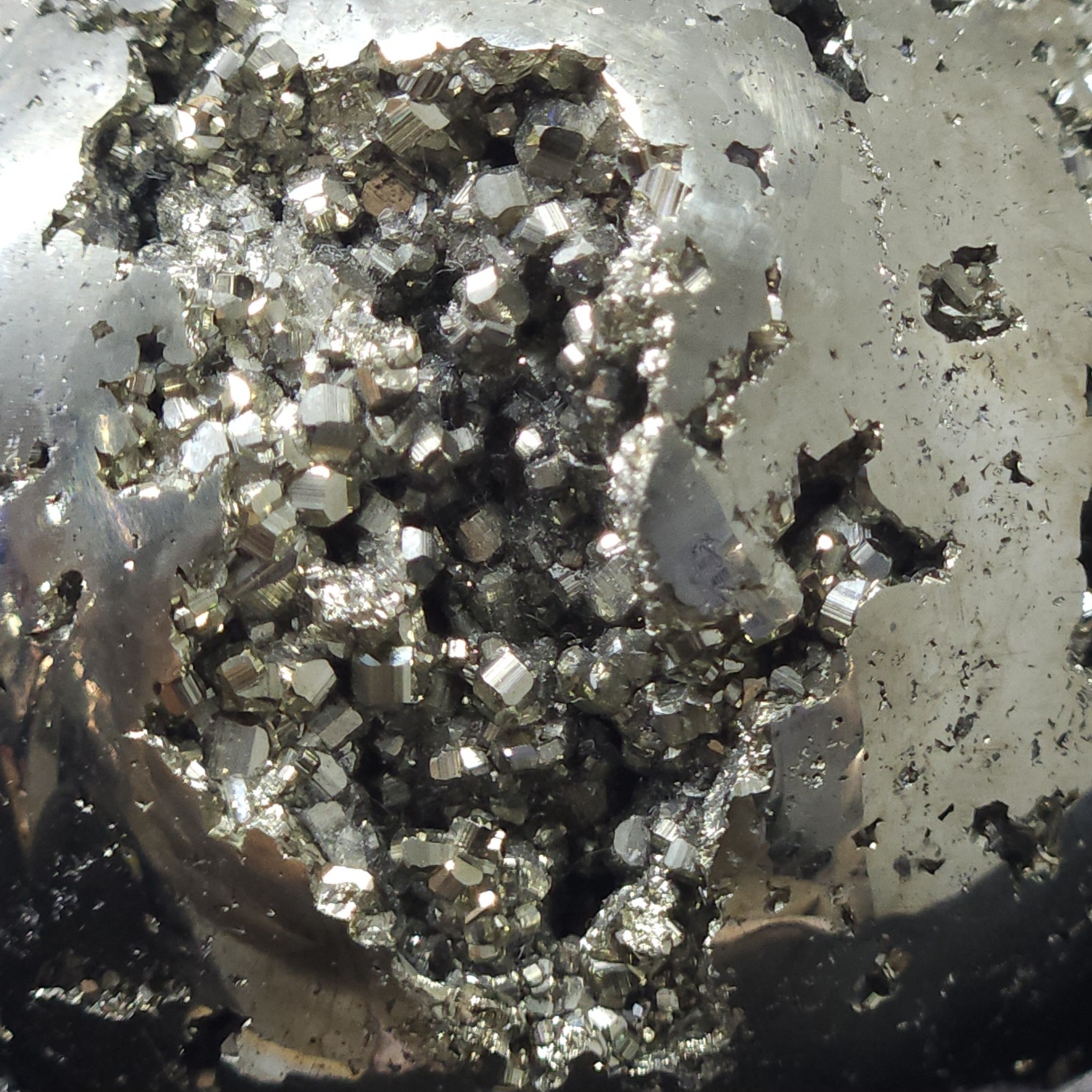 (Co#L0183)黃鐵礦球 𝘗𝘺𝘳𝘪𝘵𝘦 Sphere