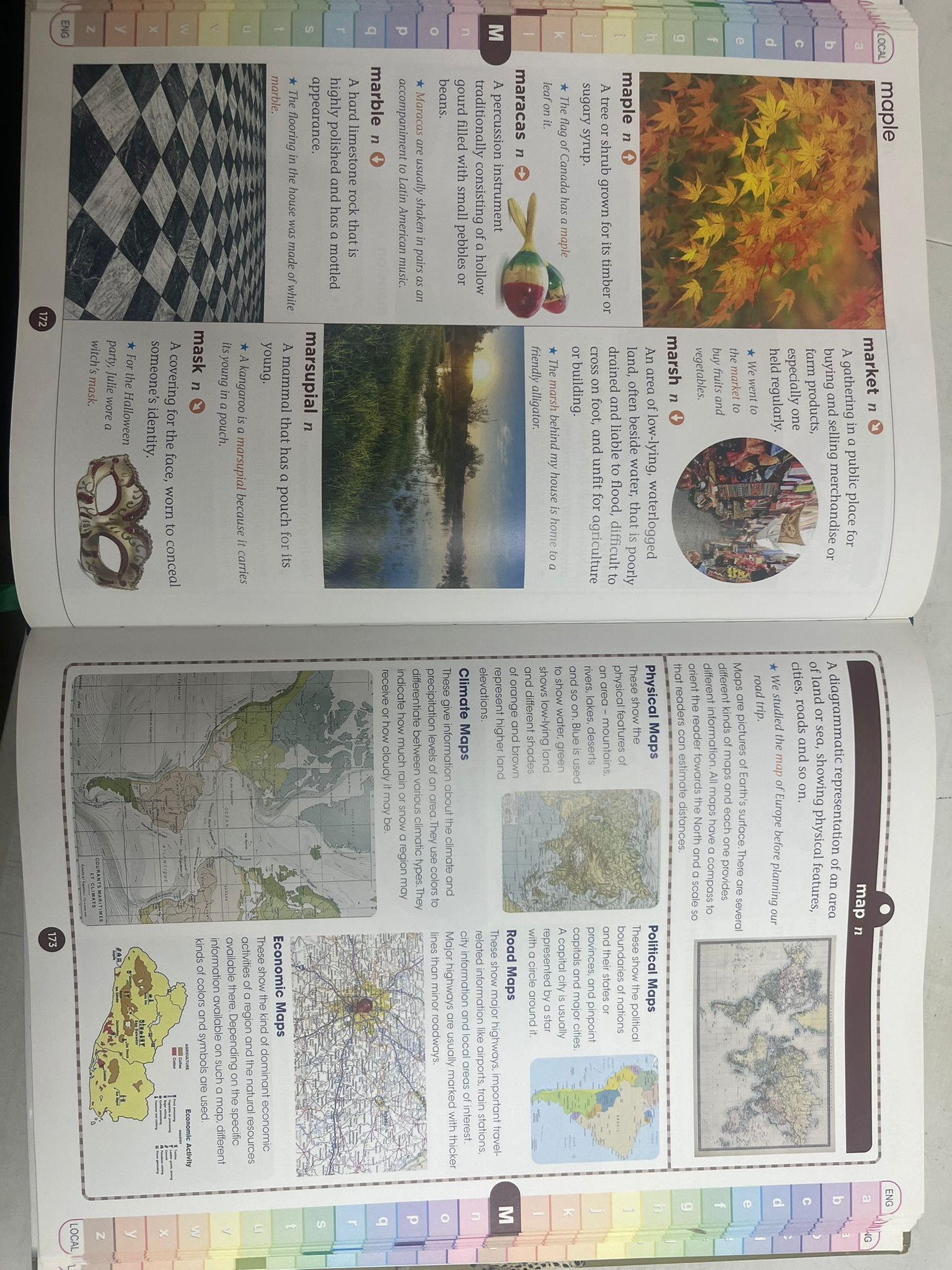 Children's Illustrated Dictionary英英字典