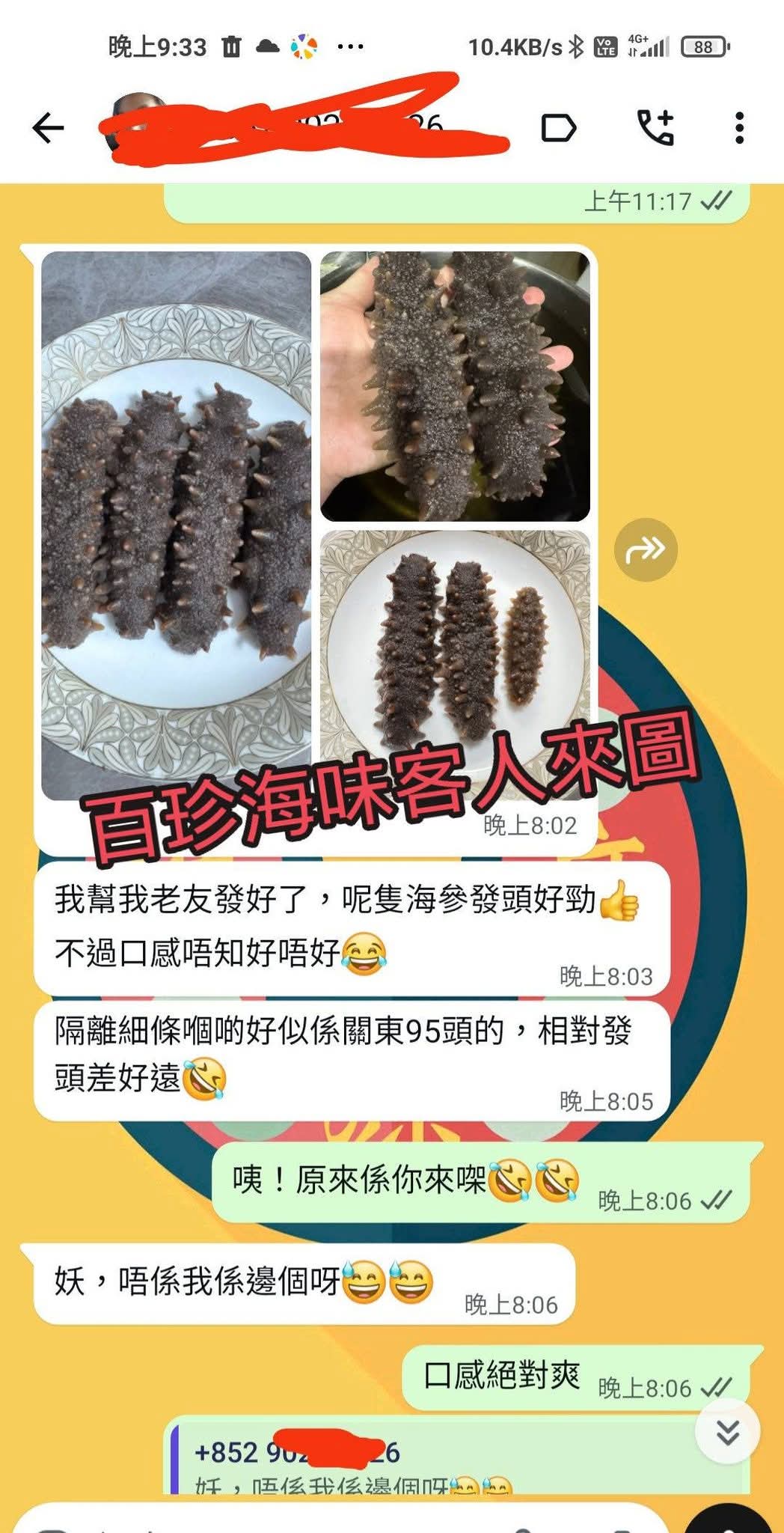 日本野生北海道標津刺參約30條