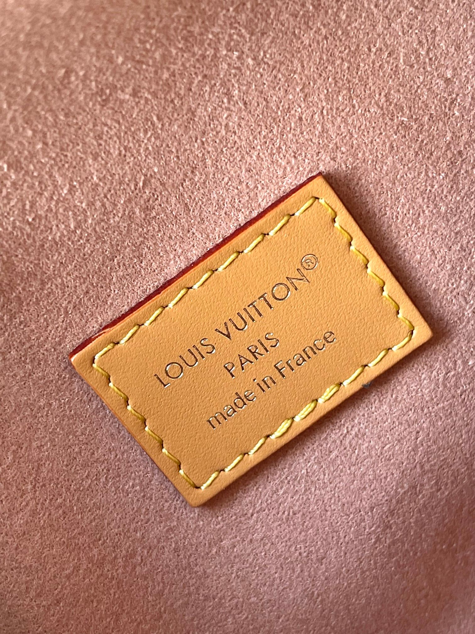 LV Louis Vuitton Side Trunk MM