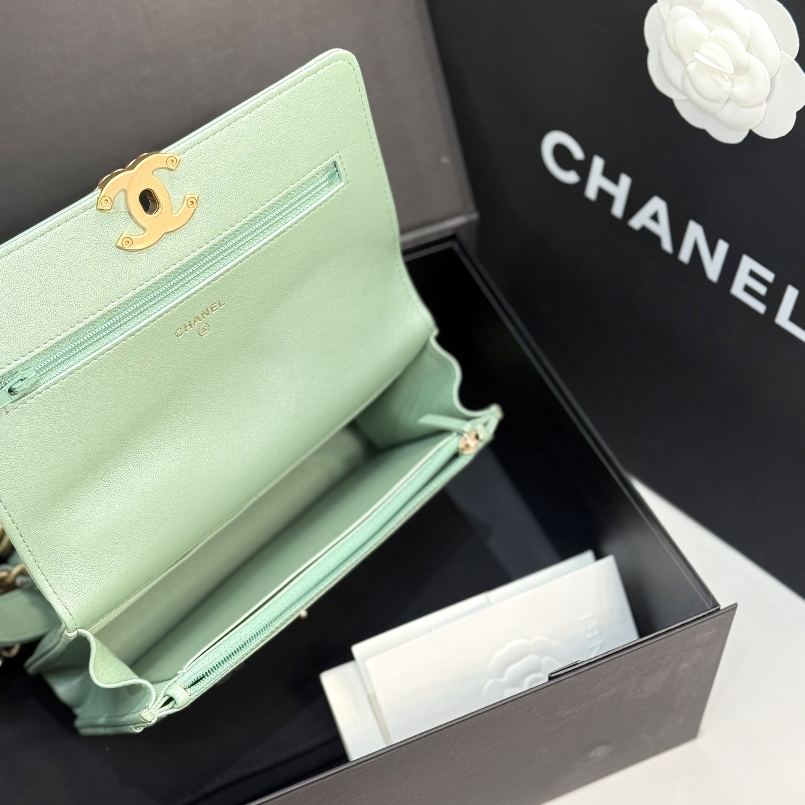 【預訂貨品】芯片款🪪 Chanel薄荷綠woc