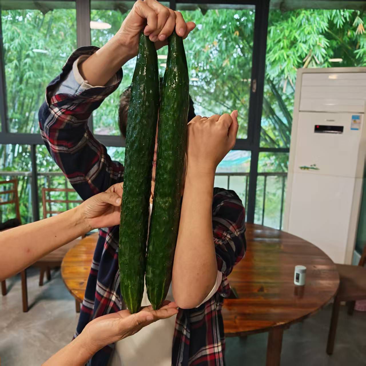 巨型酵素蔬菜（青瓜/茄子）
