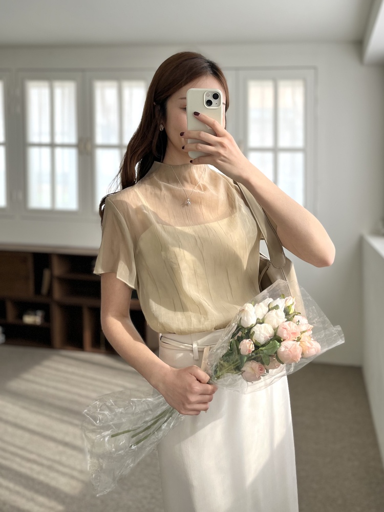 Airy Sheer Crinkle Top (Brown)