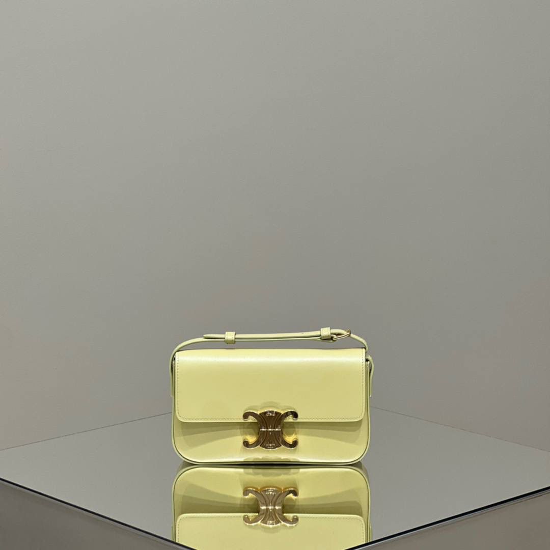 🔥大货实拍图 𝗖𝗘𝗟𝗜𝗡𝗘 ♥ 𝗧𝗥𝗜𝗢𝗠𝗣𝗛𝗘 𝗦𝗛𝗢𝗨𝗟𝗗𝗘𝗥 𝗕𝗔𝗚 型号：194143 尺寸：20*10*4cm