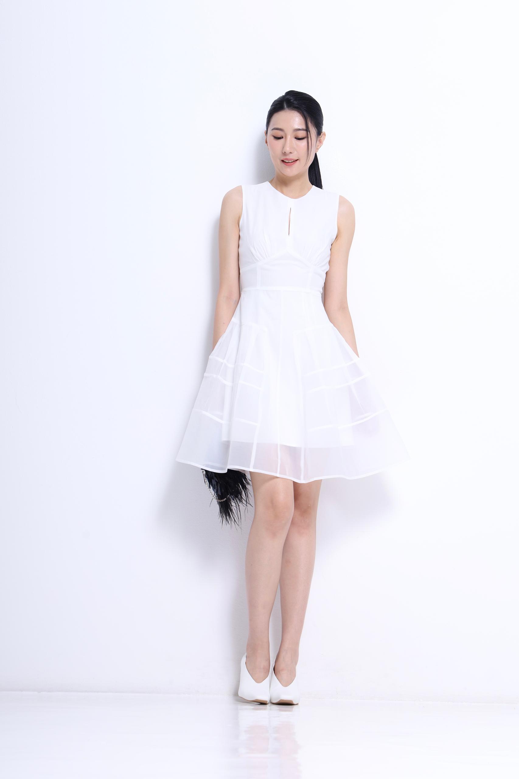 CD2151 SHEER MINI DRESS
