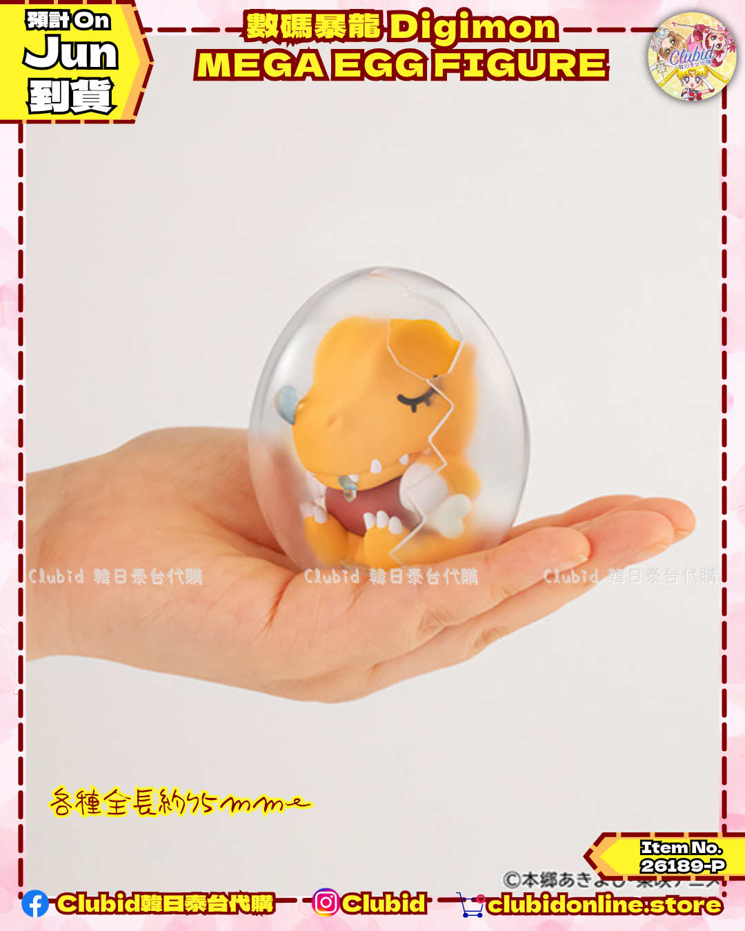 《Pre-Order》數碼暴龍 Digimon MEGA EGG FIGURE｜P-Bandai Limited (26189-P）