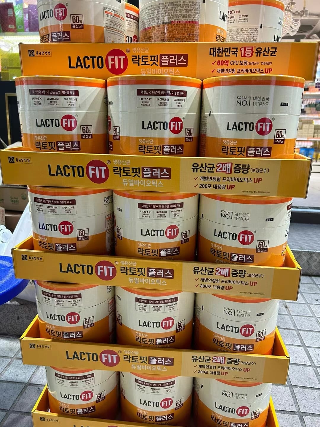 LACTO-FIT 💫益生菌雙重益生菌配方，每盒 60 條